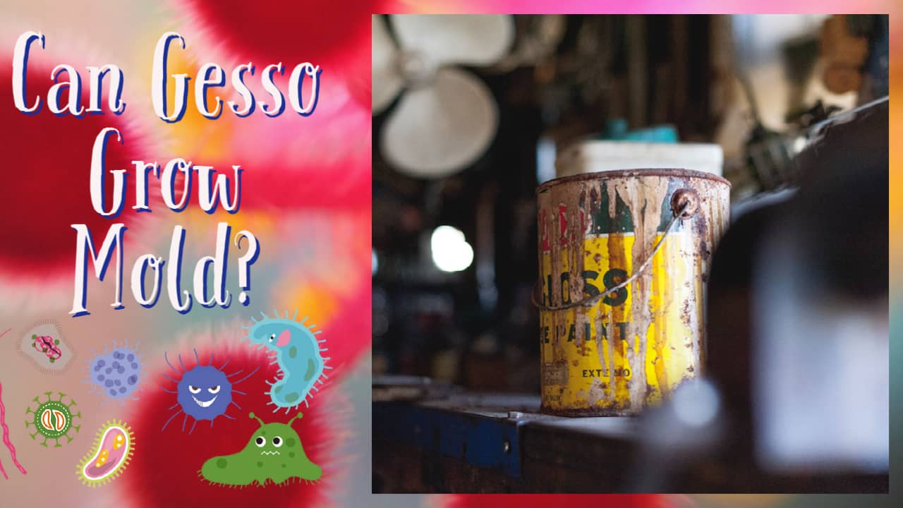 Does Gesso Go Bad? Know the Most Accurate Answer