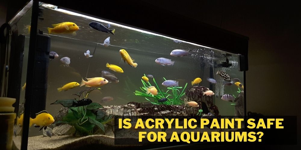 is acrylic paint safe for aquariums