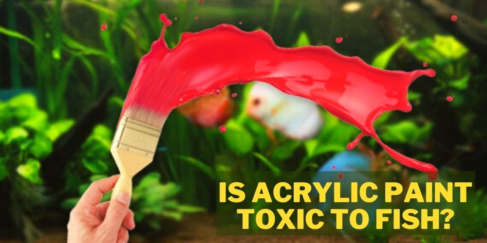 is acrylic paint toxic to fish