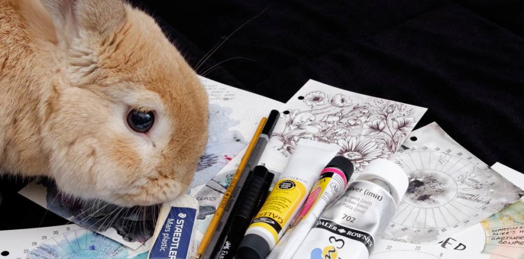 Are Acrylic Paints Tested on Animals?