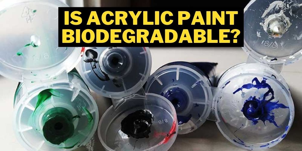 Is Acrylic Paint Biodegradable or not
