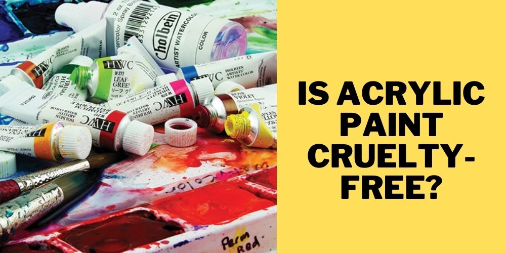 Is Acrylic Paint Cruelty Free