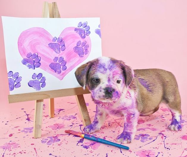 Is Acrylic Paint Bad for Dogs? (The Best Answer Only)