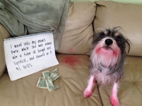 is paint bad for dogs