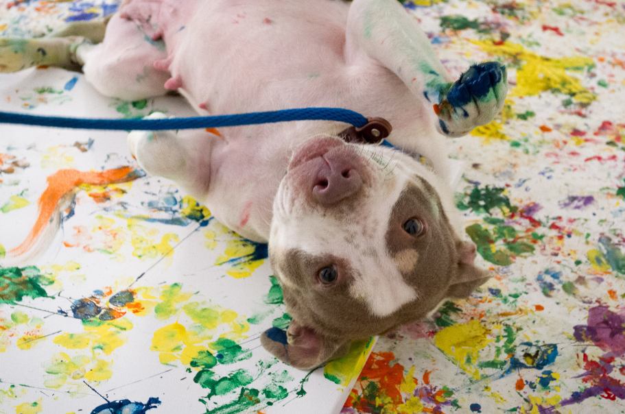 Is acrylic paint bad for dogs' paws?